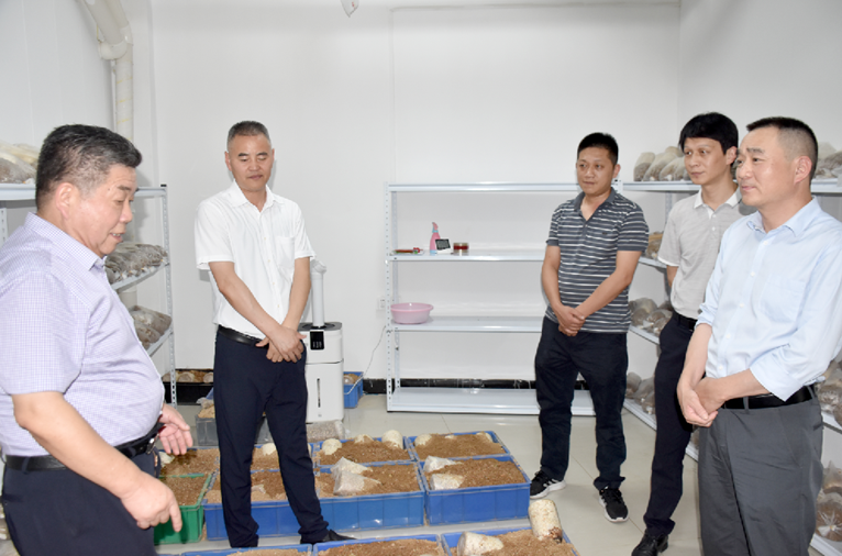 多乐游戏斗牛:倍捻机设备类型与结构